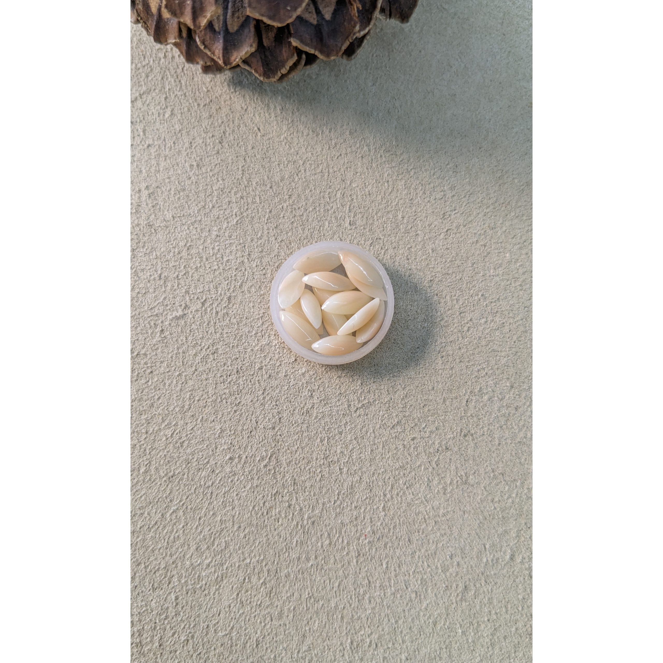 5.14 Ct. Salmon and White Cabochon Coral - Image 3