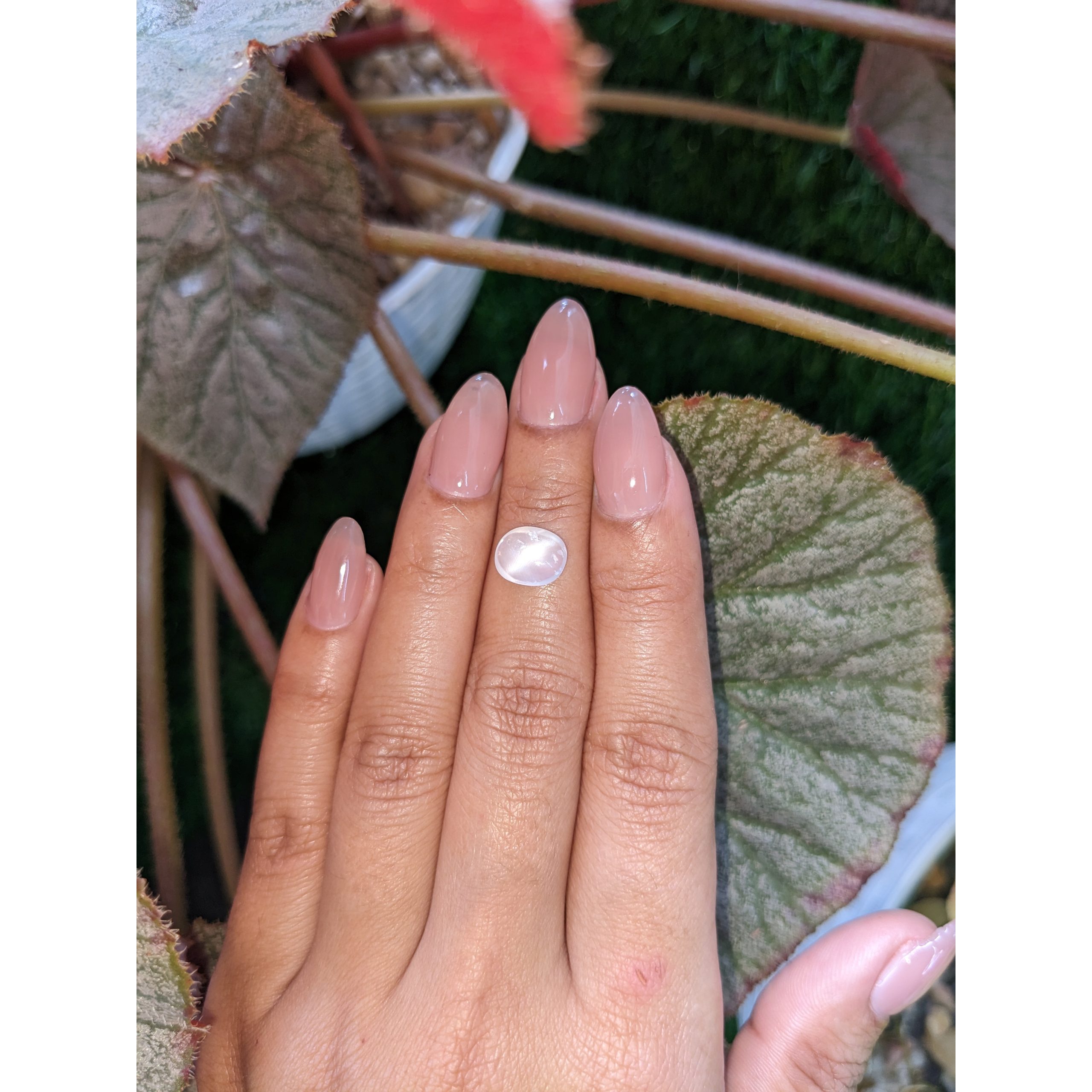 2.07 Ct. White Cabochon Moonstone - Image 3